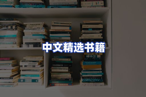 中文精选书籍